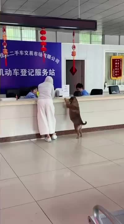 @Funny