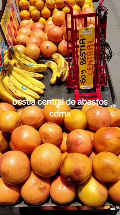 @Bestia central CDMX