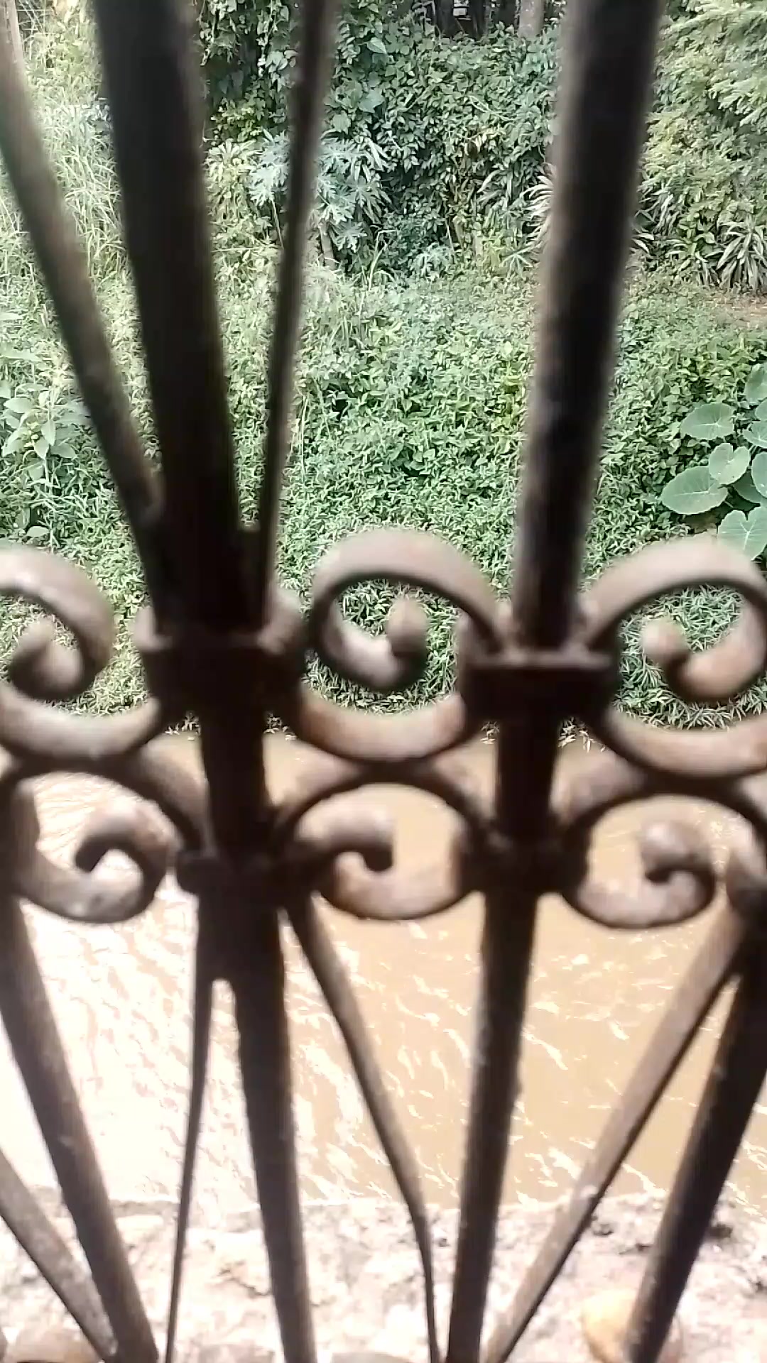 @Dr Vin&iacute;cius Ribeiro
