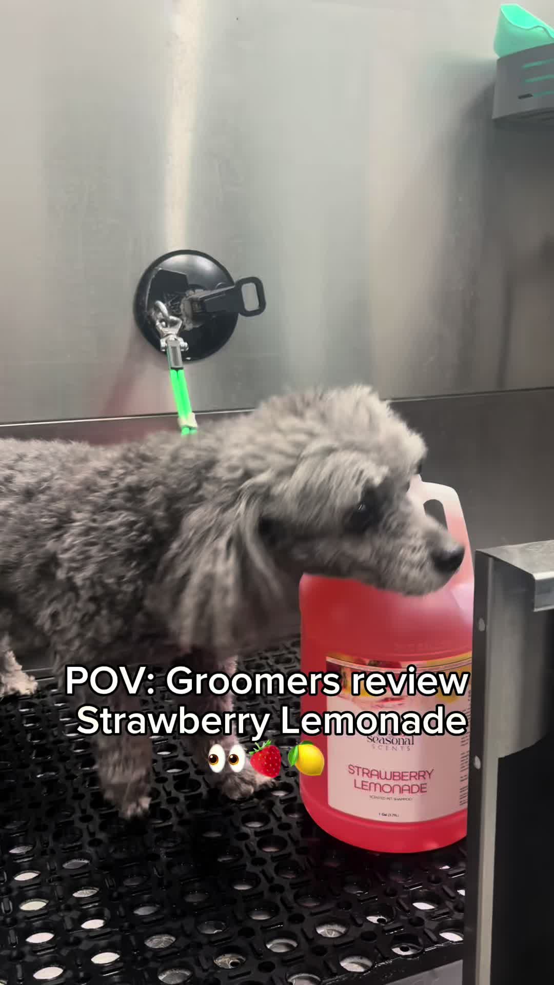 @Groomer’s Choice Pet Products
