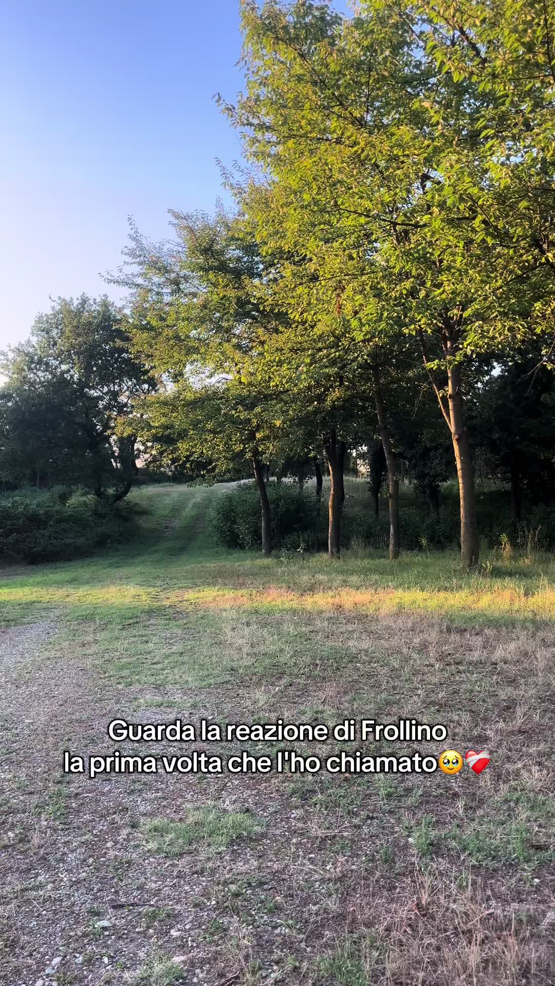 @Diario a Quattro Zampe