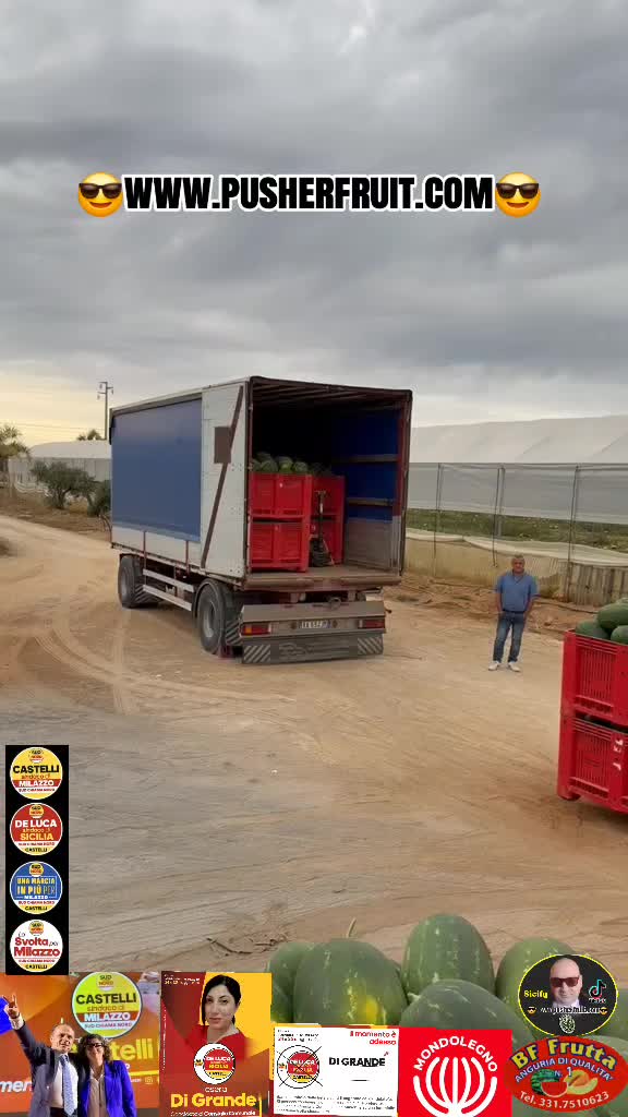 @😎wwwpusherfruit.com😎