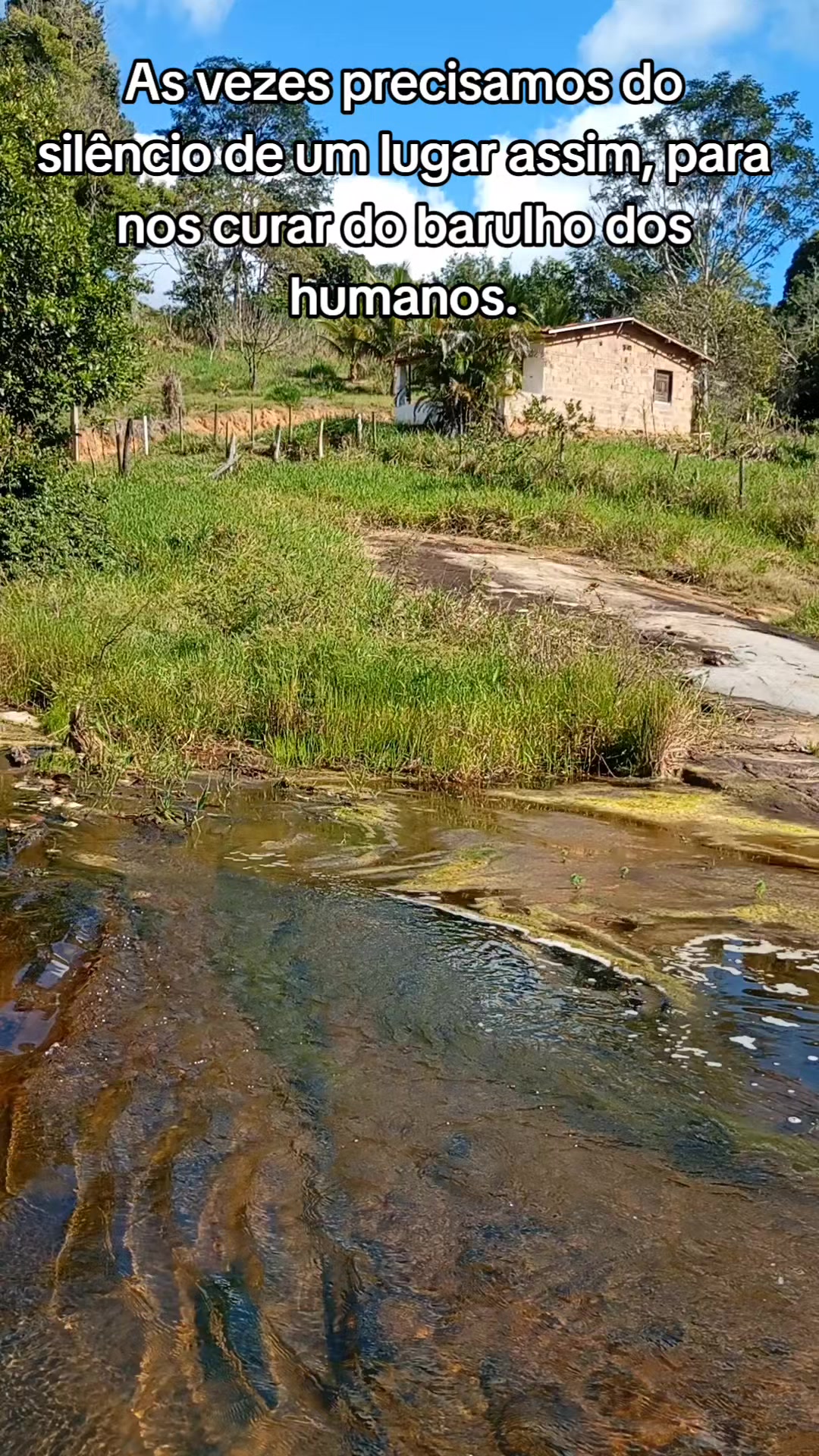 @Ro&ccedil;a 🤠🌱