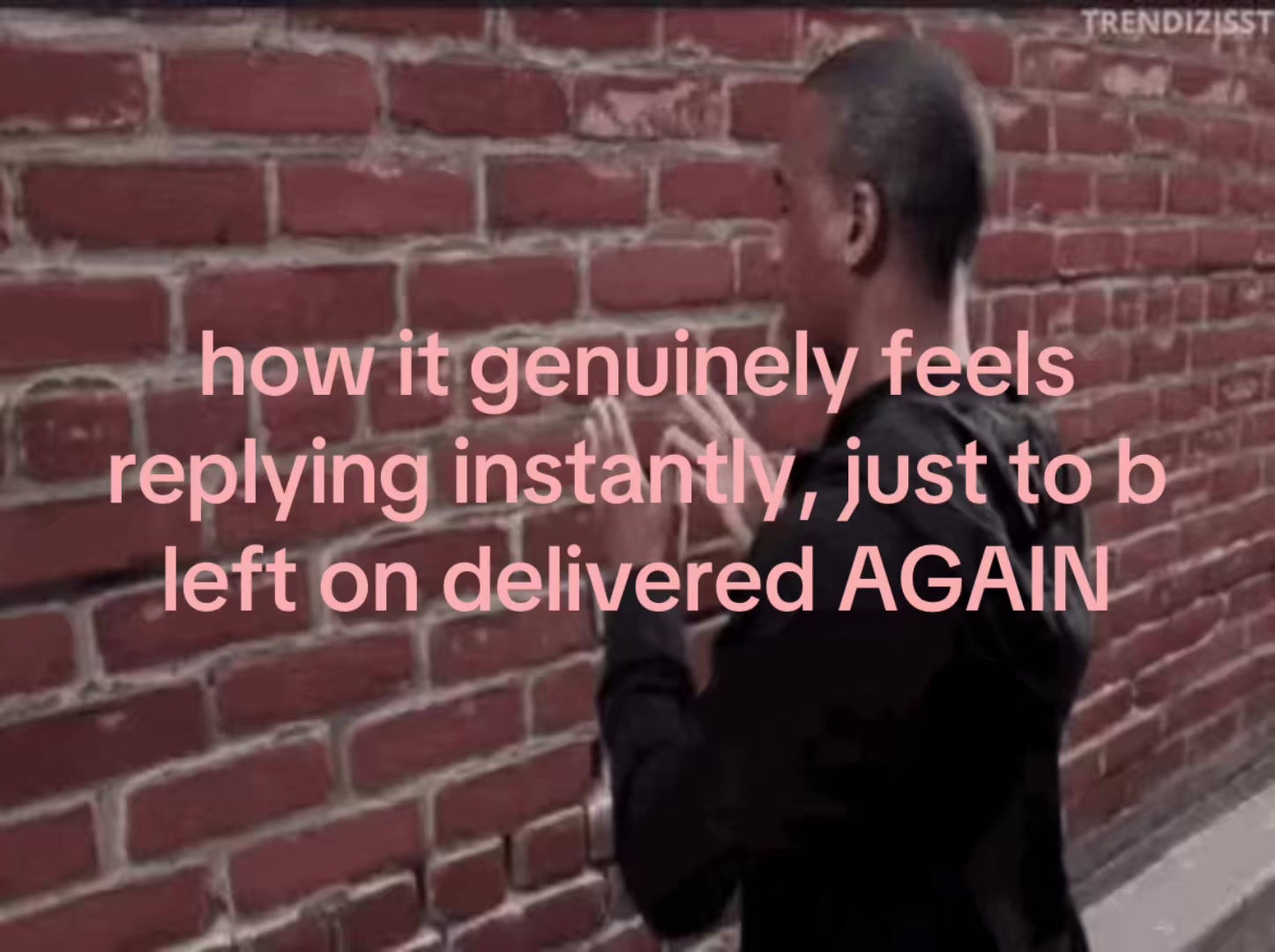 @🪽