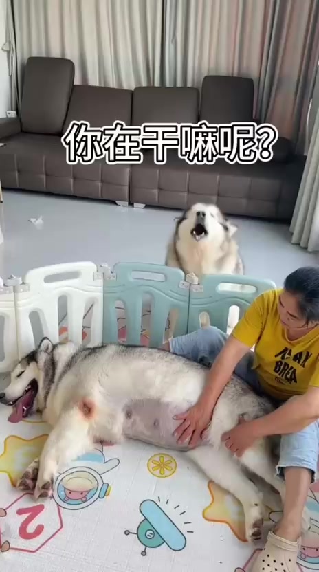 @Funny