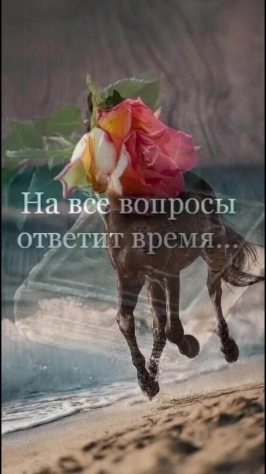 @💠Любаша💠