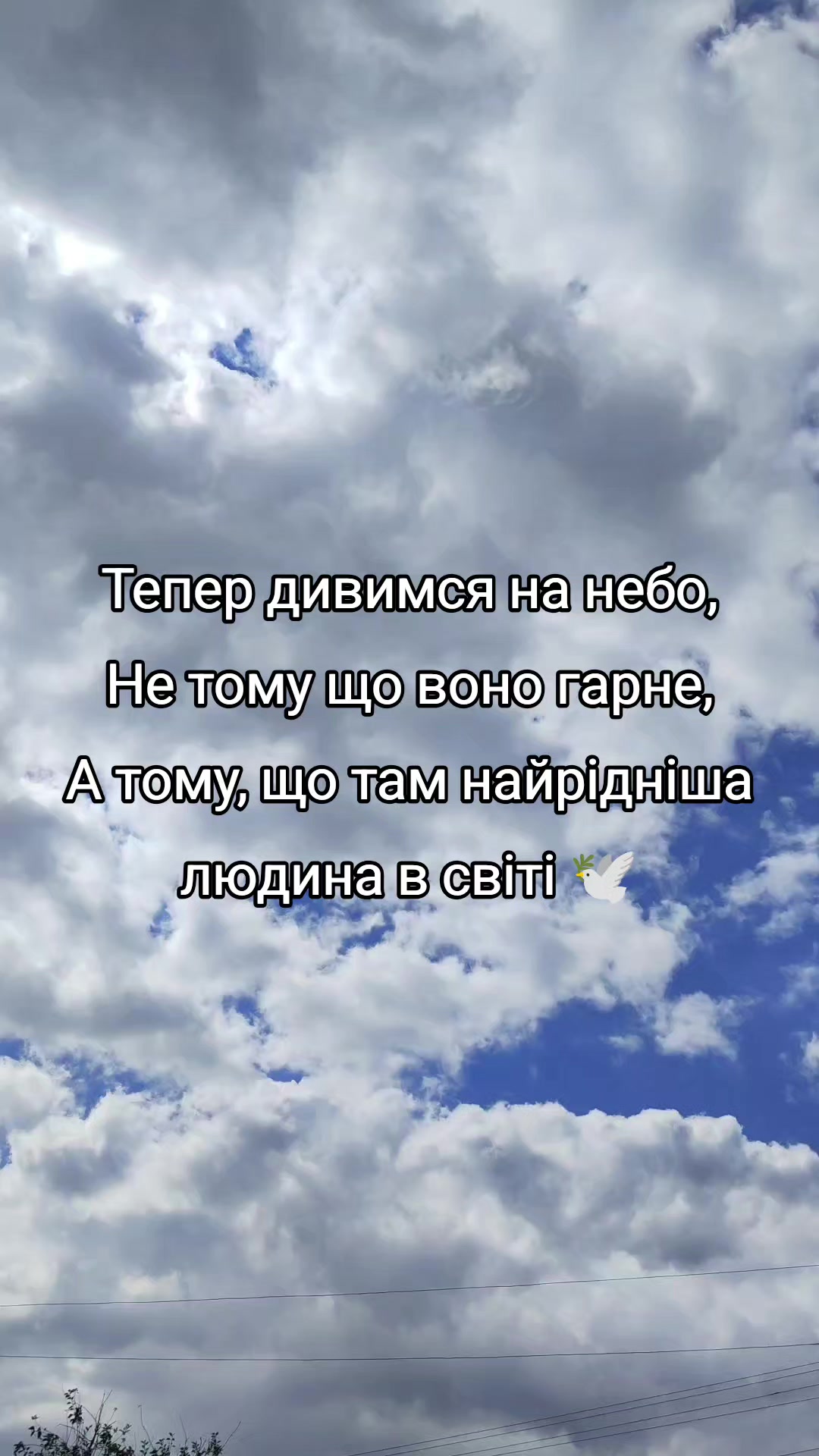 @user2134