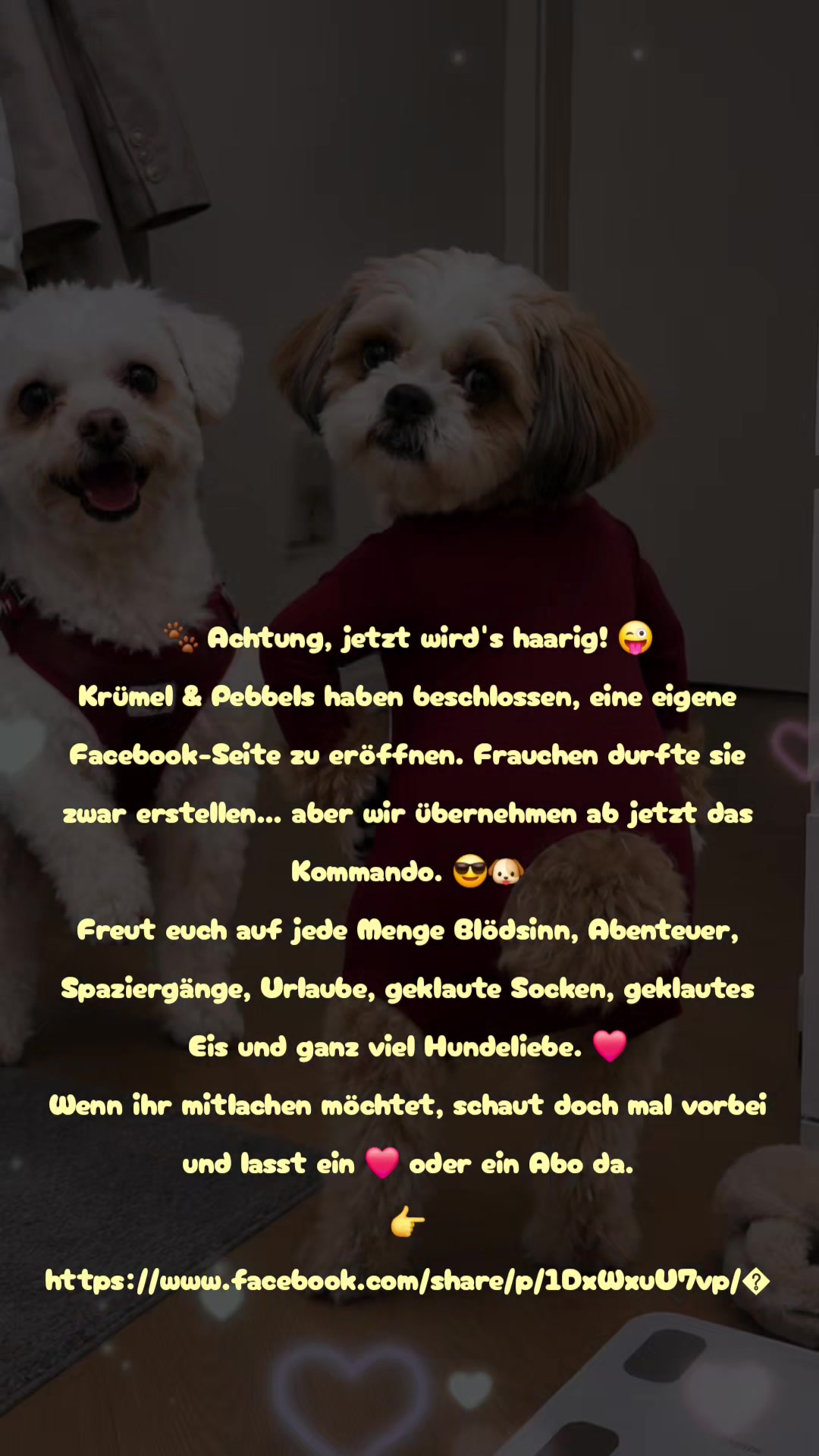 @Flocke und Kr&uuml;mel mit Frauchen