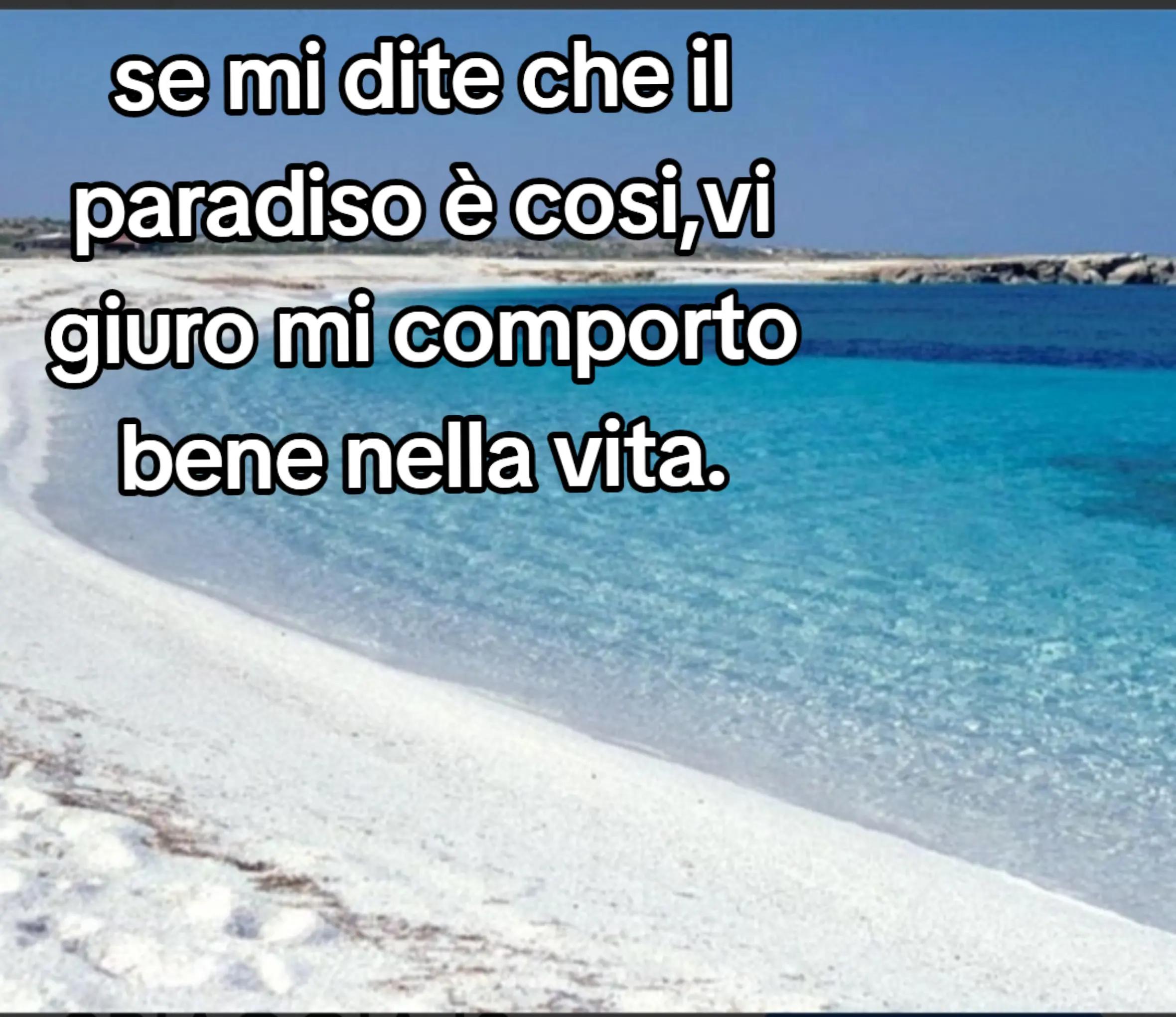 @ciropugliese379