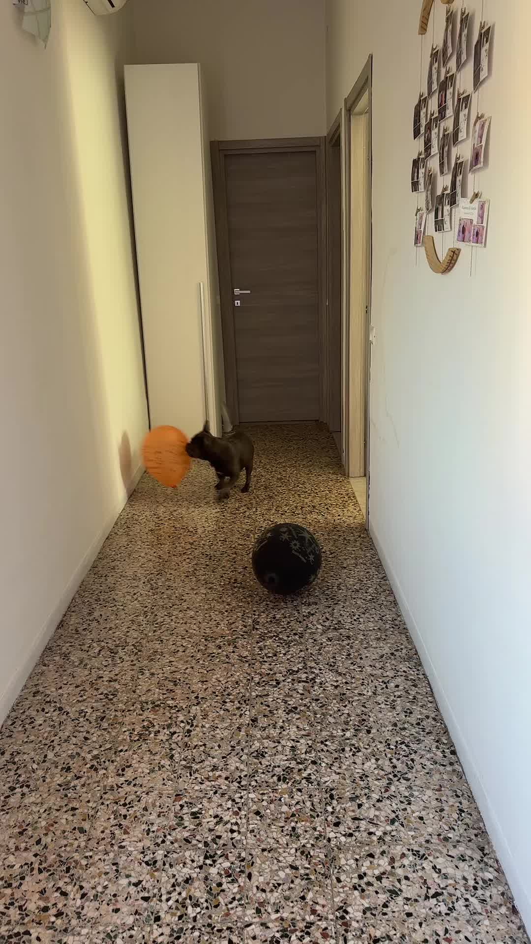@𝓐𝓭𝓲𝓷𝓪