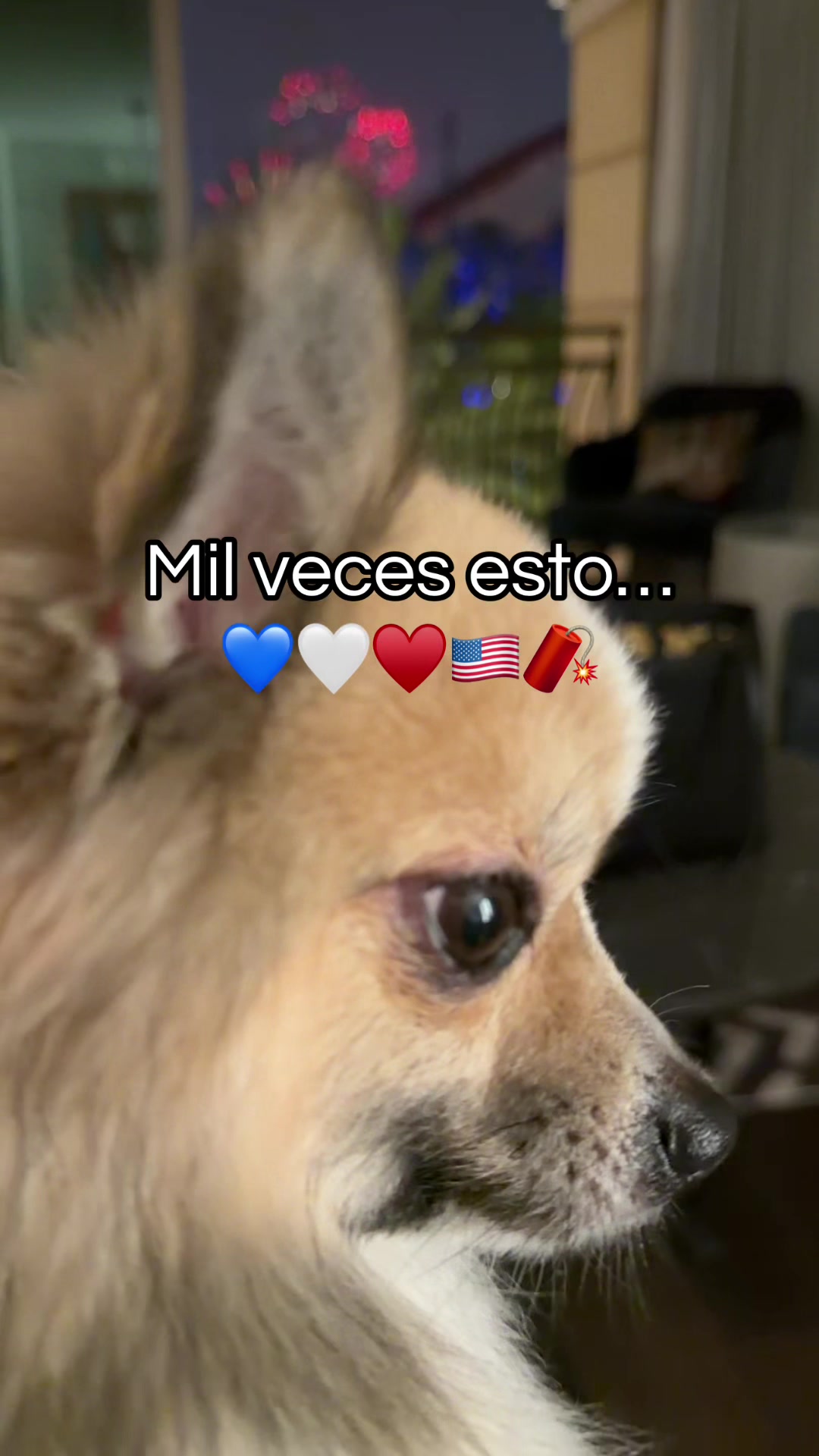 @aaangievargas