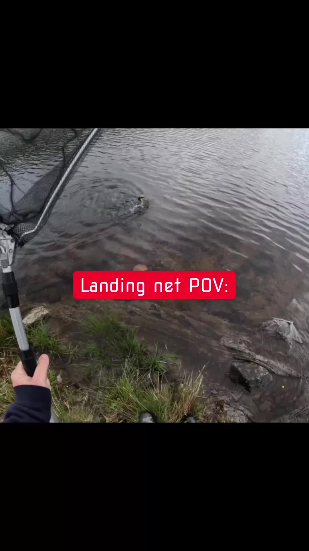 @fishingshaun