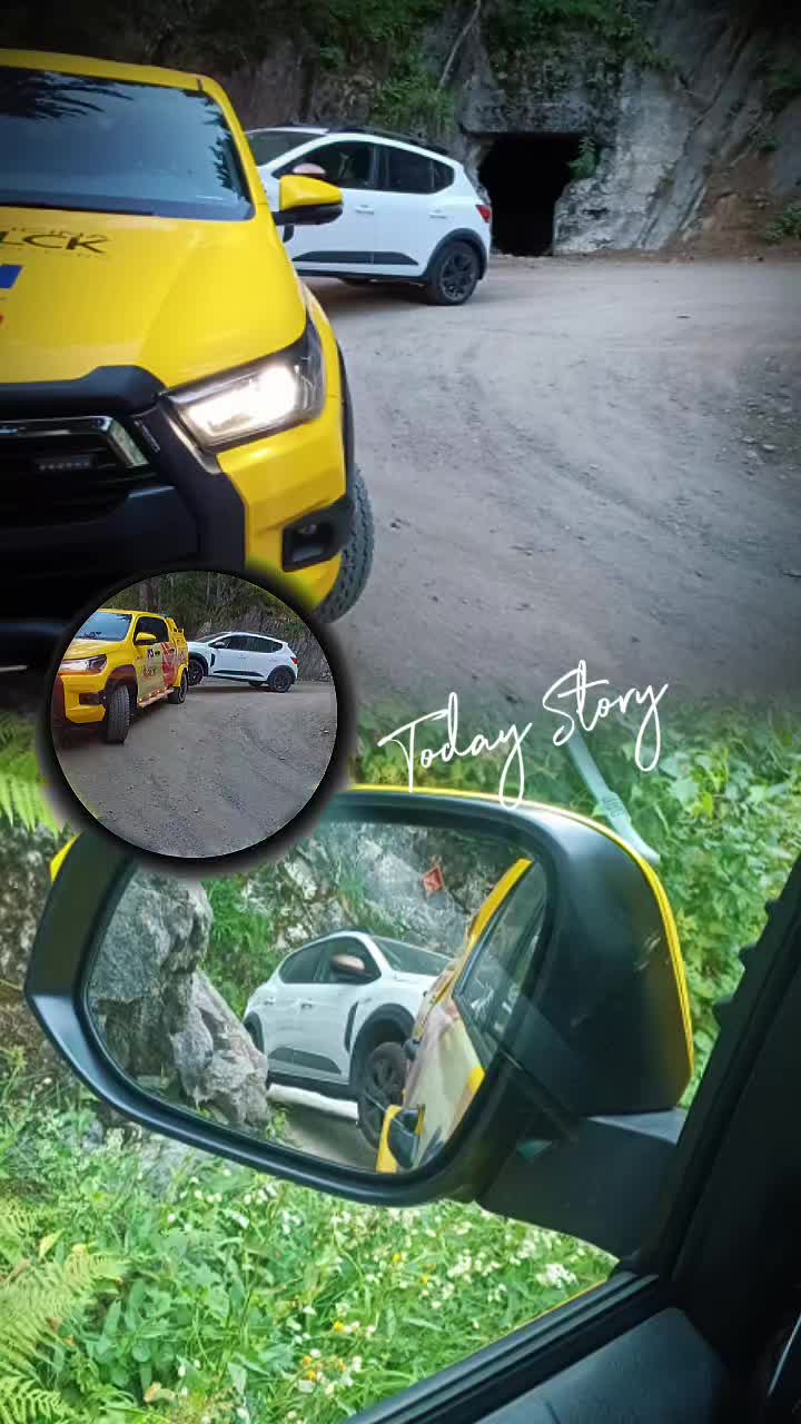 @il carrista di tik tok