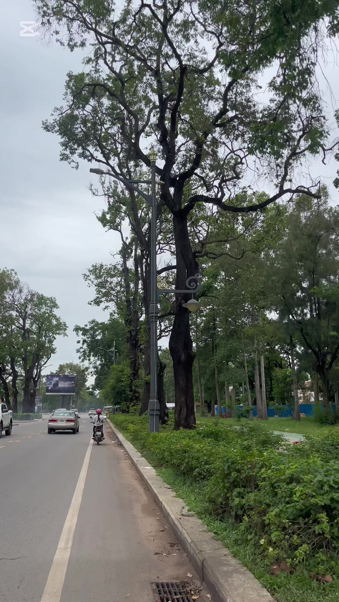 @🌱𝕂𝕚𝕞𝕝𝕪 𝕊𝕒𝕞🌳