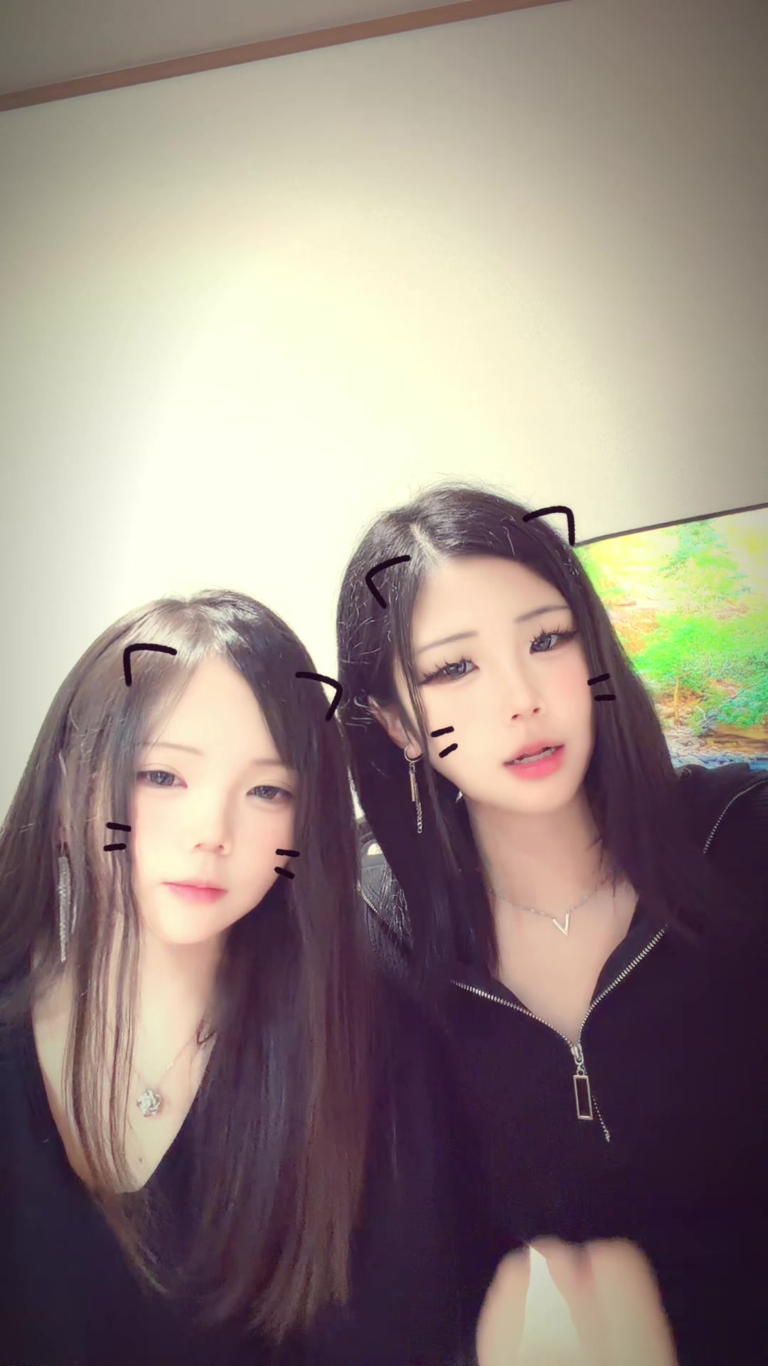 @たぬき