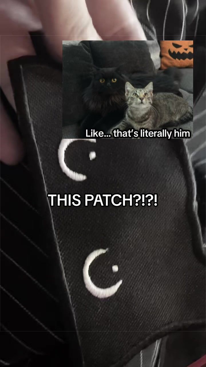 @𝕽𝖔𝖈𝖐𝖞/𝕯𝖔𝖑𝖑𝖞🤍🗡️