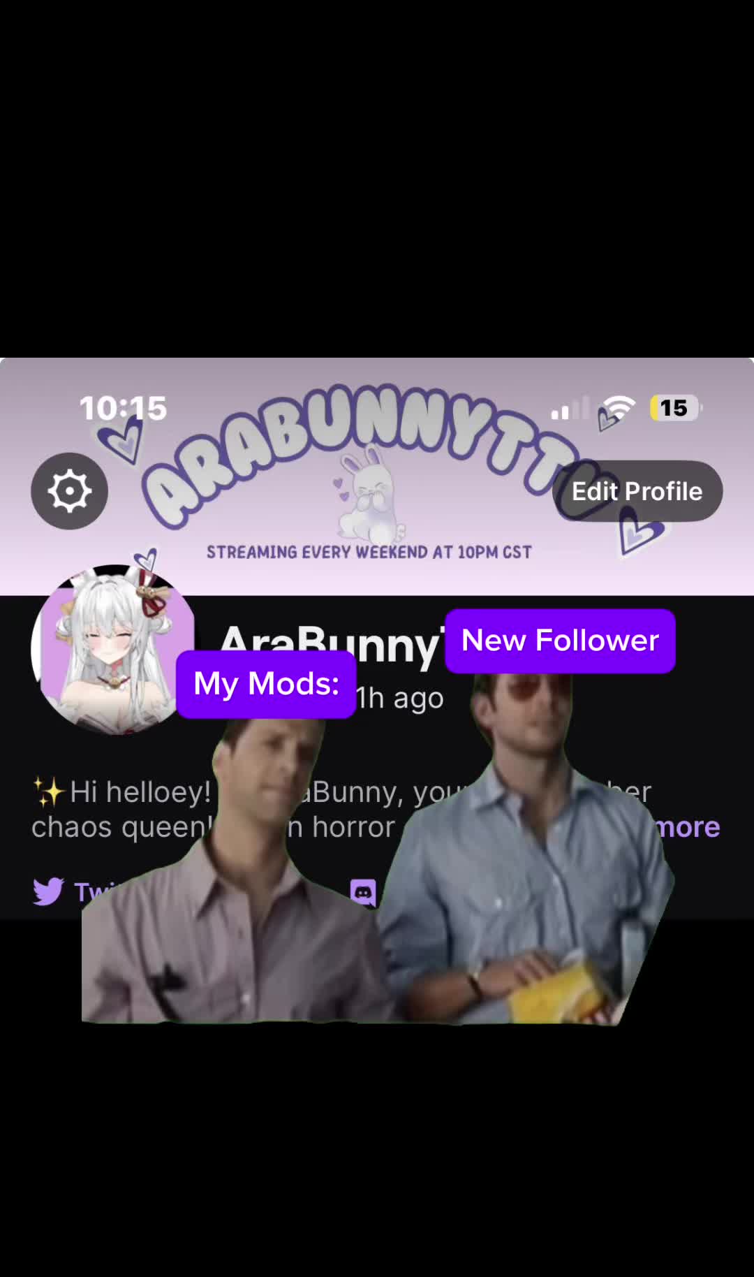 @AraBunny 🐰 | Vtuber