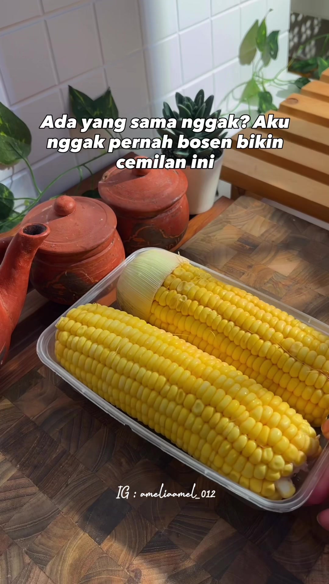 @YT : AMELIA AMEL