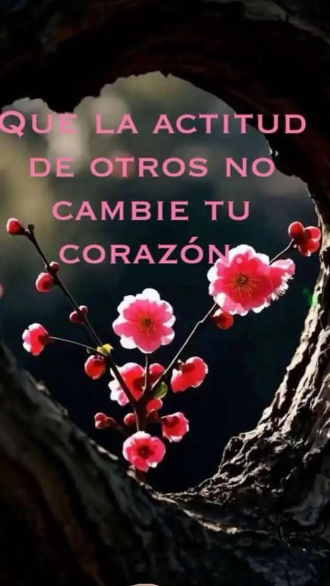 @Tus rolitas, poemas y m&aacute;s 𖣓
