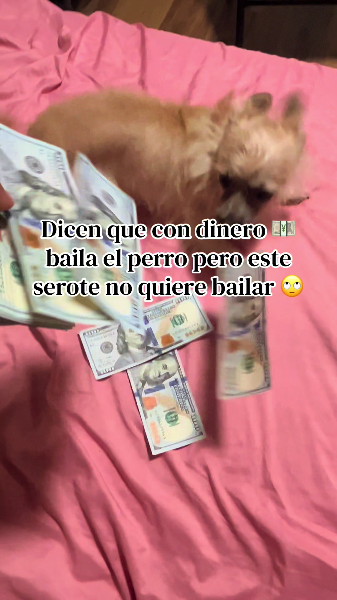 @cobanero de coraz&oacute;n 💟