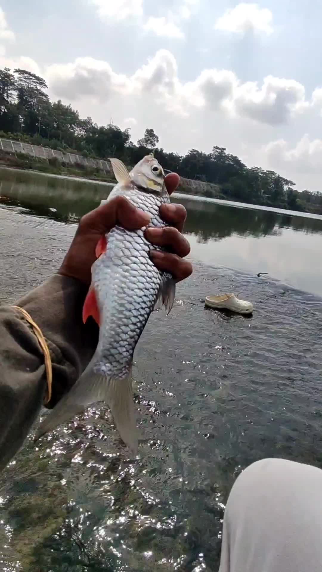 @Dewategek