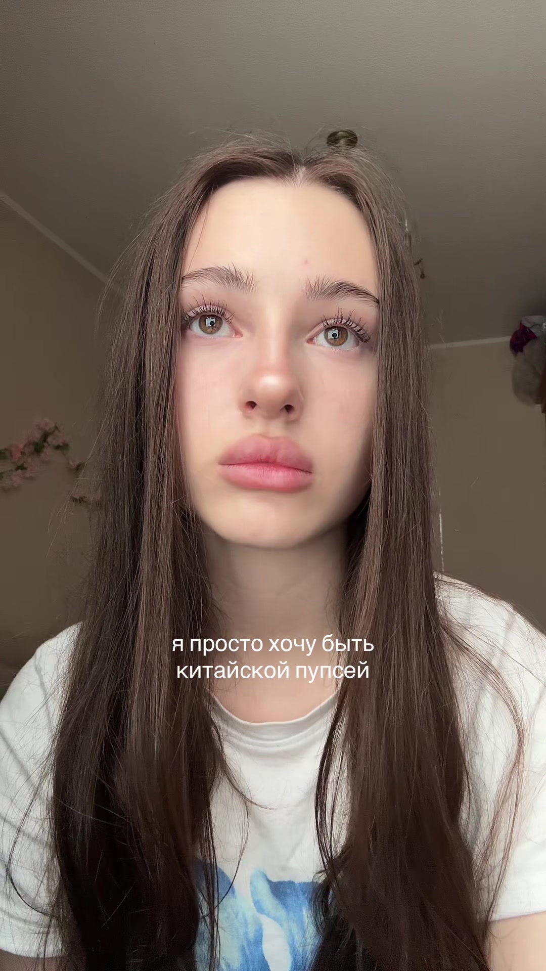 @тгк: дофи даша