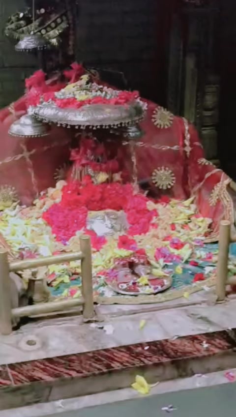 @🚩Jyoti shah 🥰(sudi)🚩