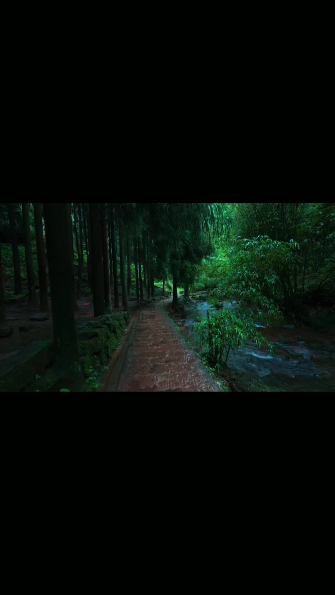 @_paradise_