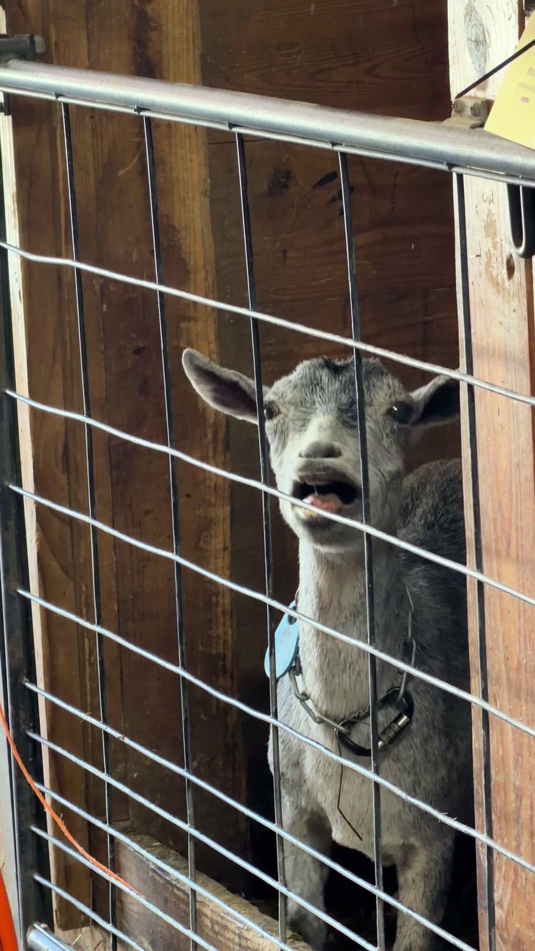 @bonnie.brook.farm