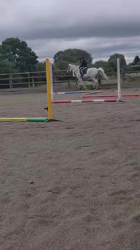 @bls.liv.x