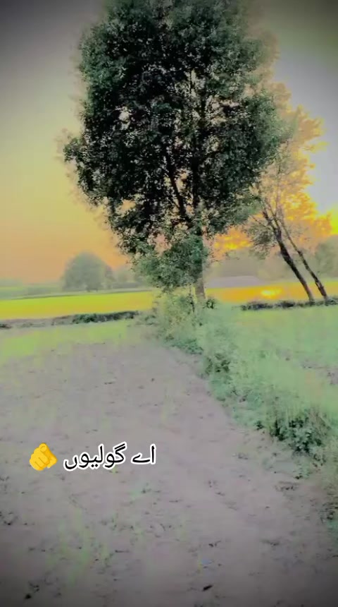 @🥀Mhar Ali Raza dhol 🌹