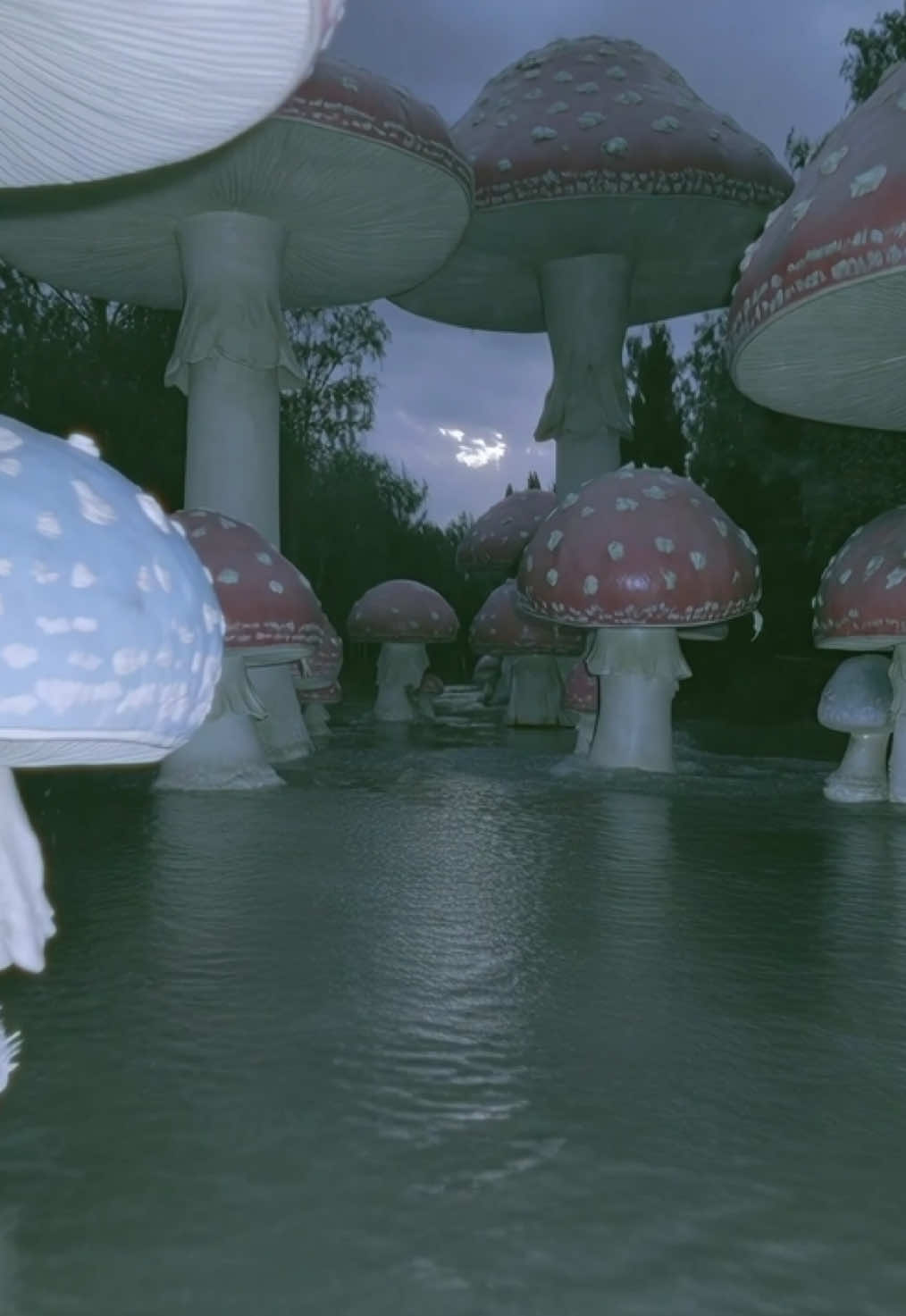 @𝐅𝐞𝐯𝐞𝐫𝐃𝐫𝐞𝐚𝐦𝐞𝐫