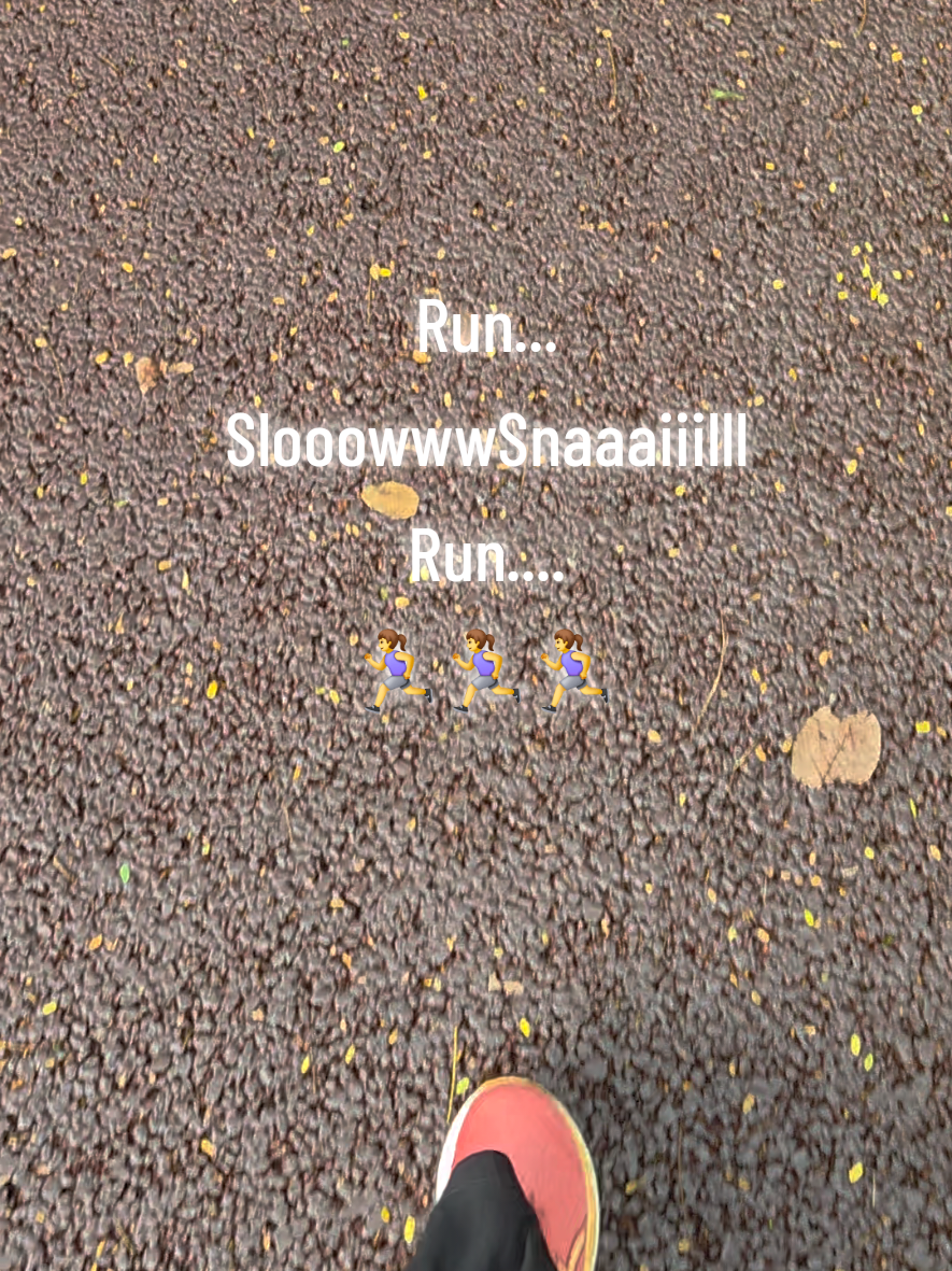 @SlooowwwSnaaaiiillll