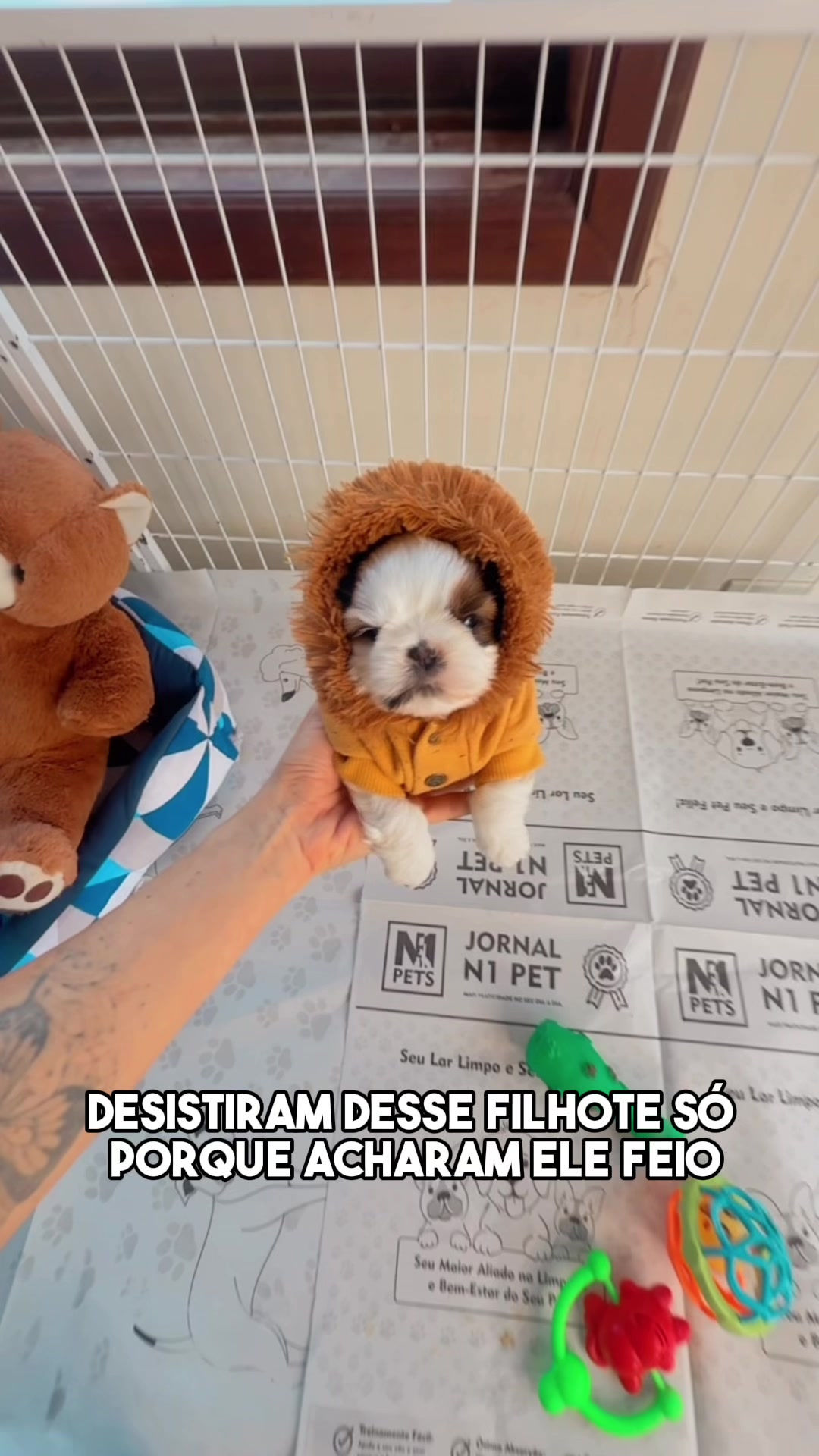 @Casa dos Ursinhos