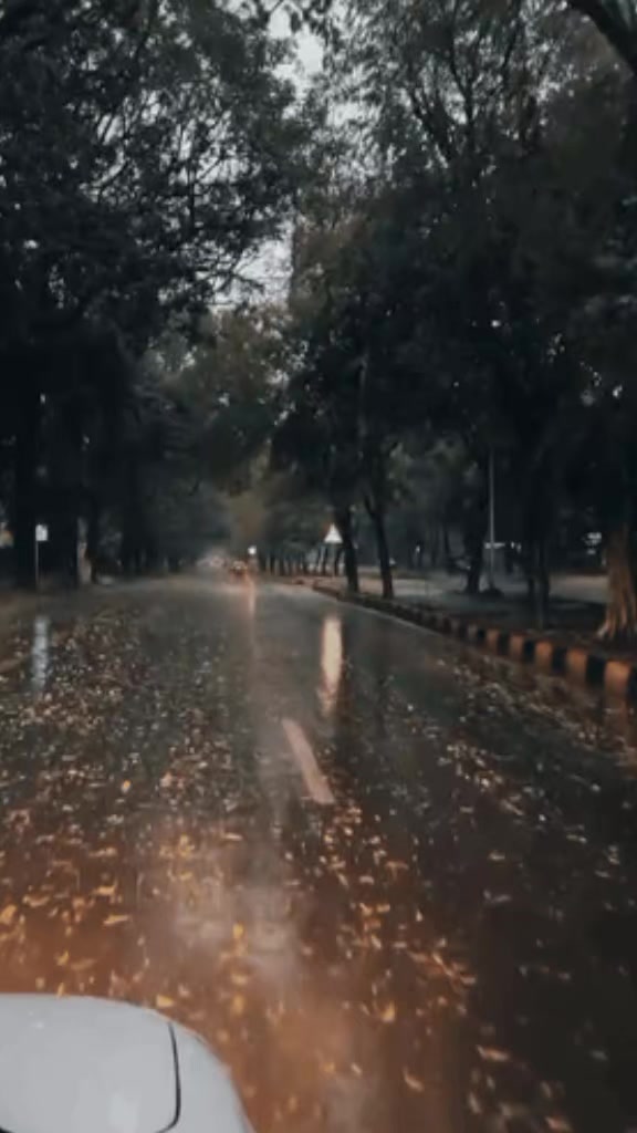 @Lữ Khách