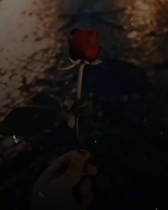 @𝓗♫