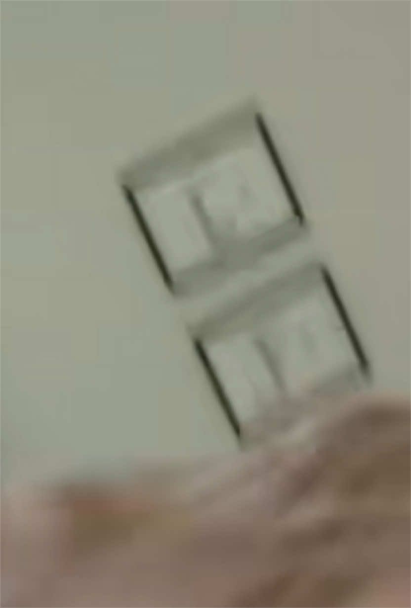 @ℯ𝒷ℴ𝓃𝓎－𝓂𝒶𝒾