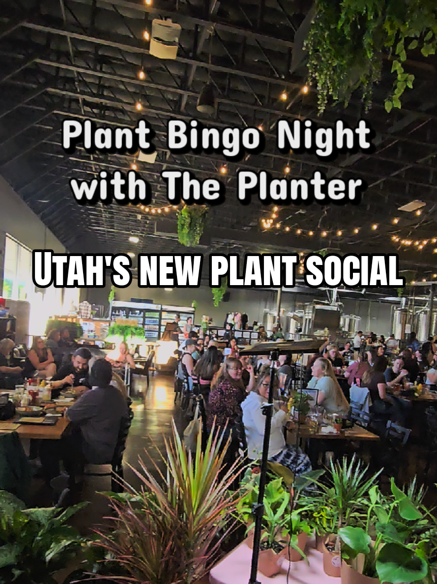 @ThePlanterPopUp