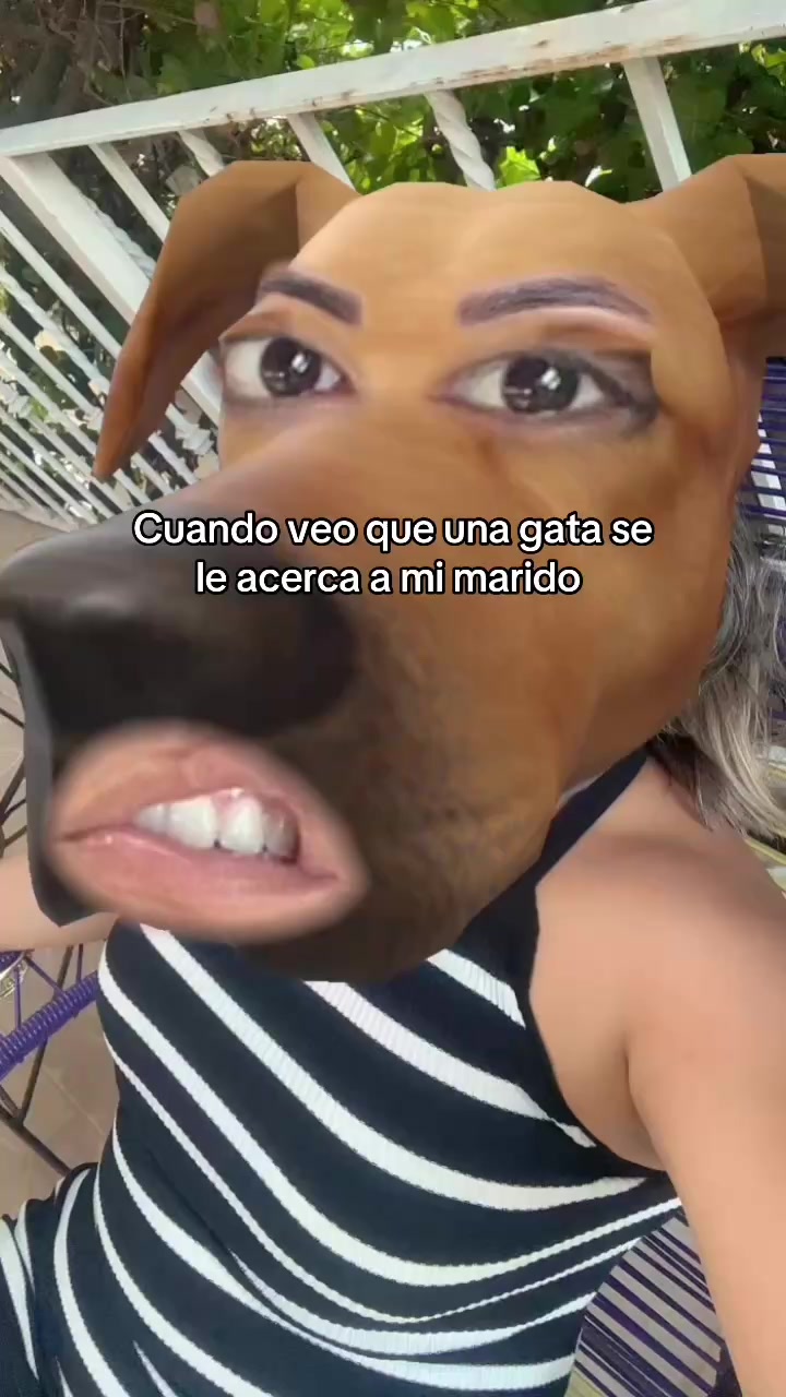 @Aninogueda💩
