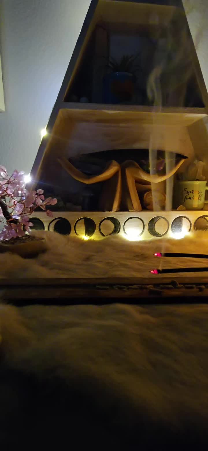 @Moon Flower ✨️
