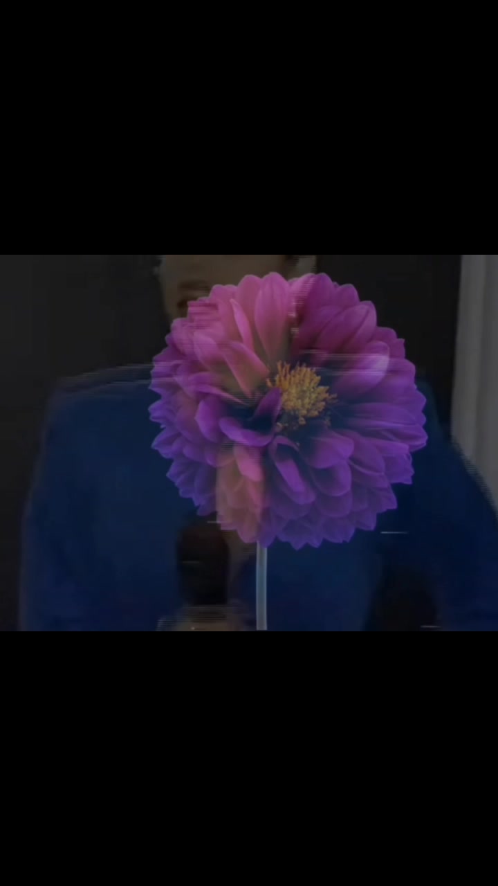 @𝐷𝑟𝑒𝑎𝑚𝑖𝑛𝑔 𝑜𝑓  𝑌𝑜𝑢