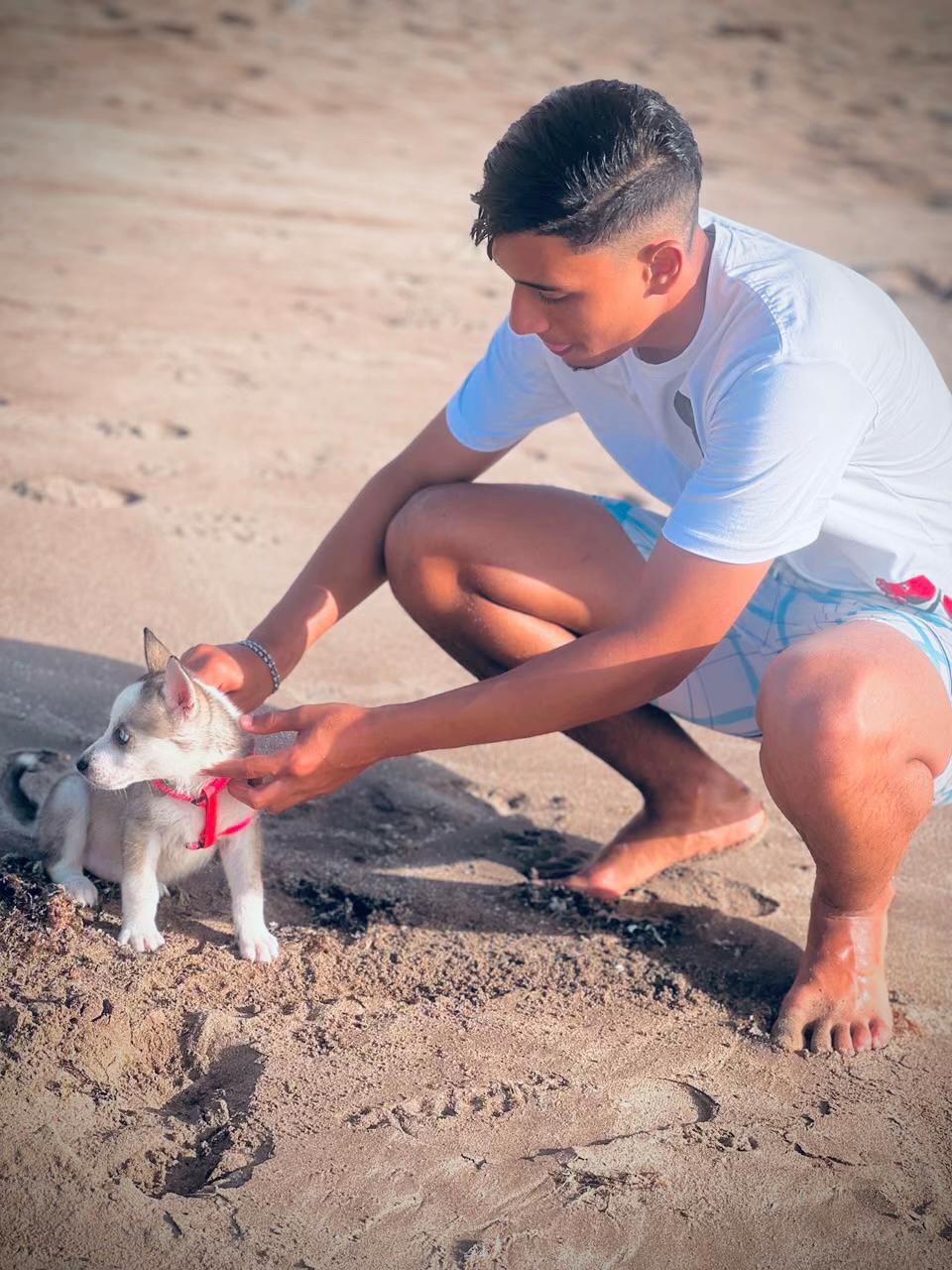 @عالم الكلاب و الحمام🕊️🐕