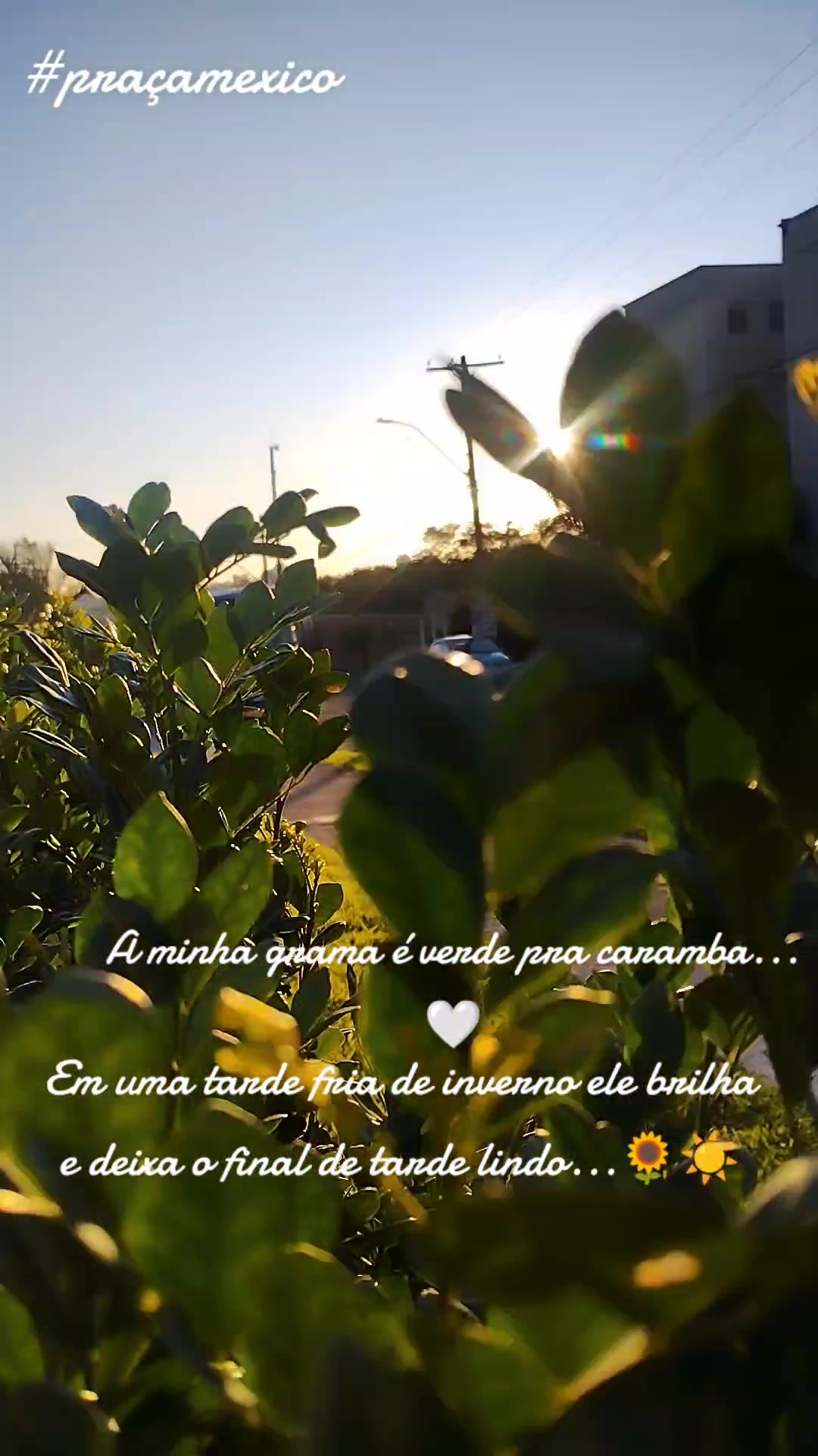 @Jacqueline Cavalcanti