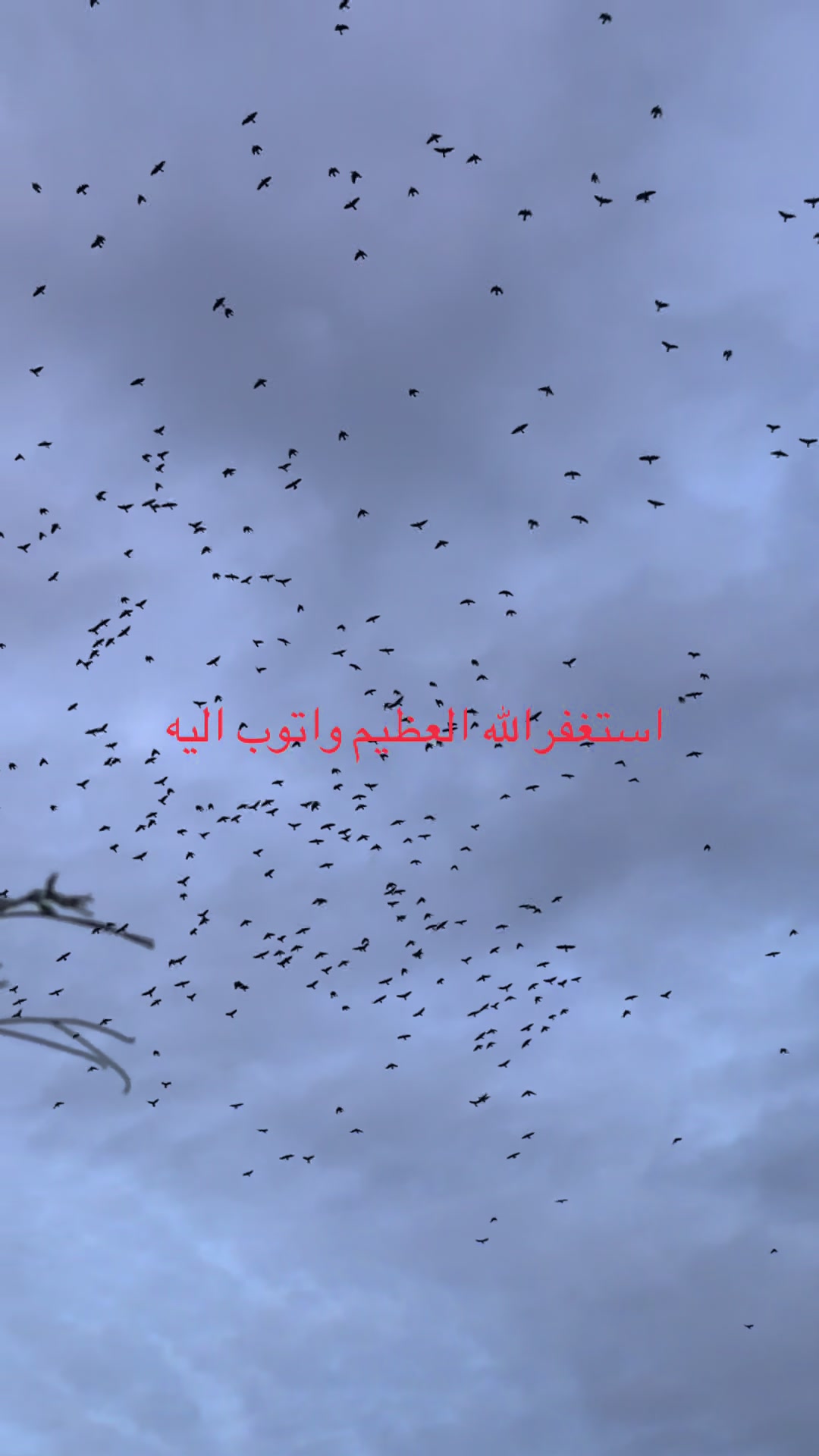 @Alaraap