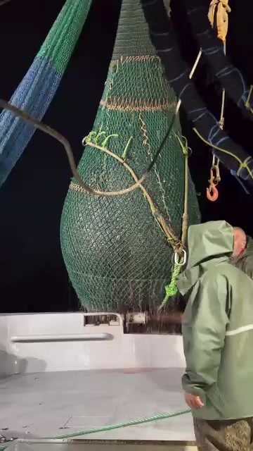 @🛳️h&agrave;m&igrave;d&oslash;⚓⚡R&aelig;ys&euml;🐬🏴&zwj;☠️