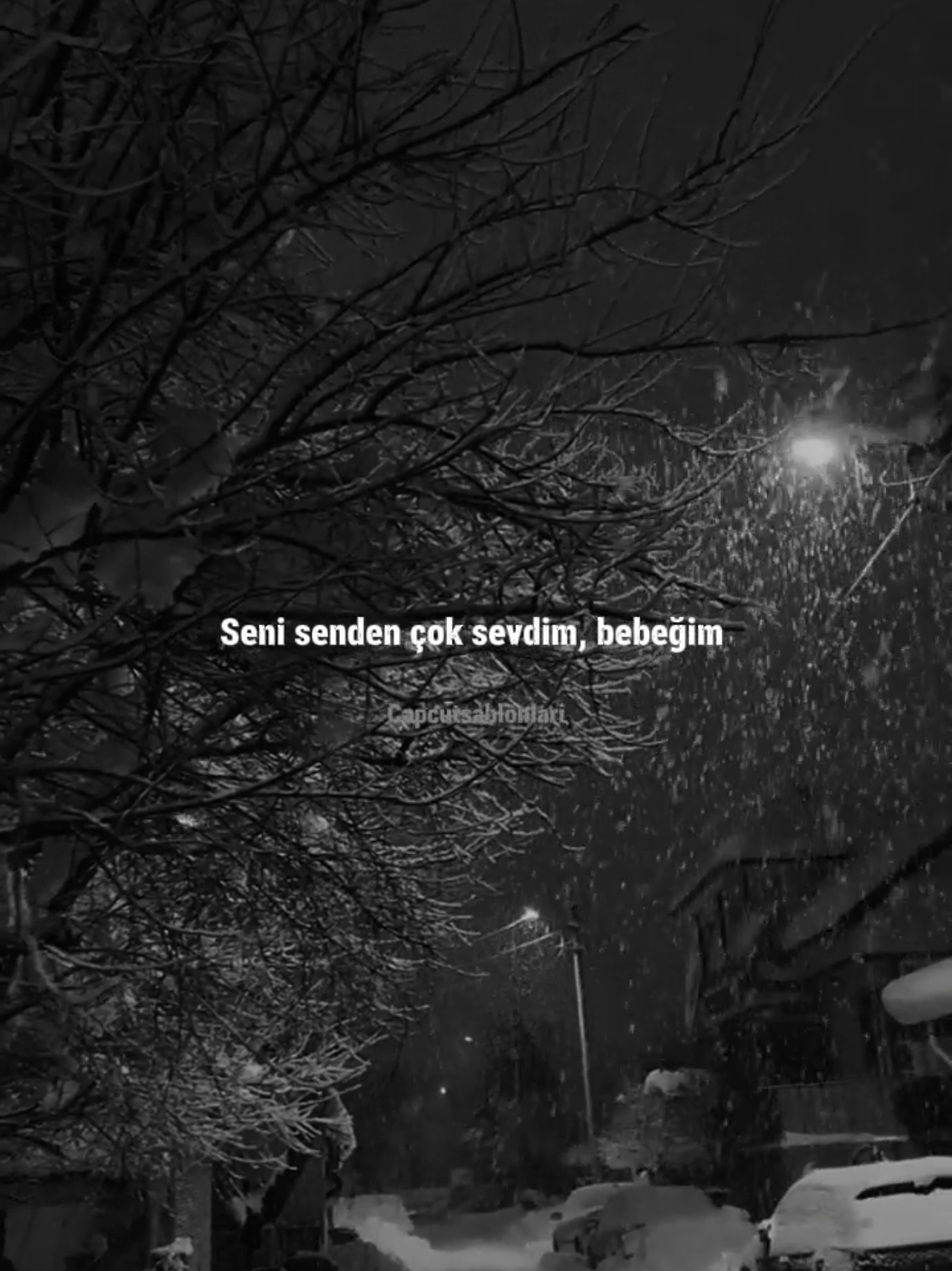@Capcut Şablonları