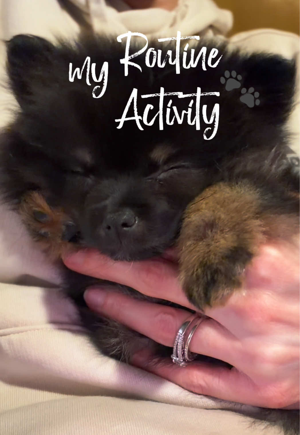 @blessedlittlepaw