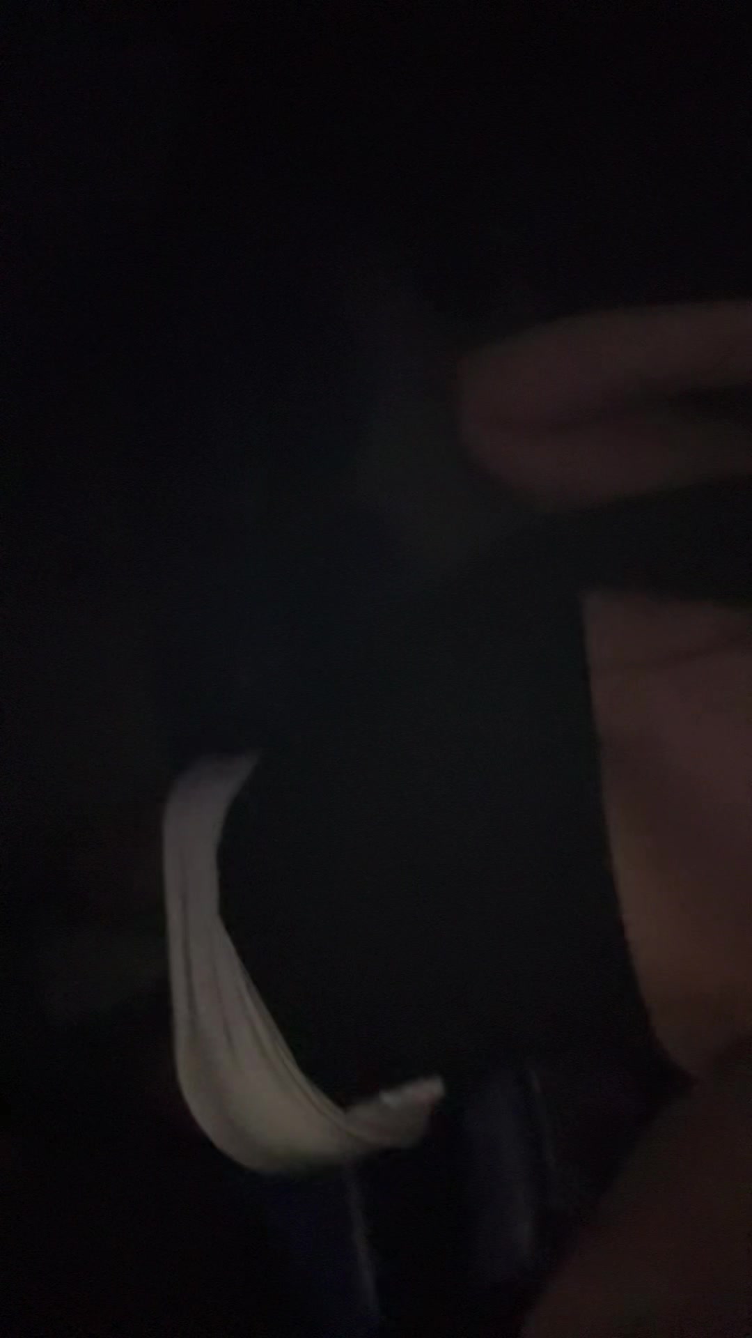 @Kim