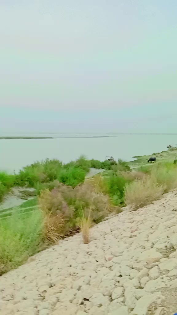 @❤❤گوپانگ بلوچ  ❤❤
