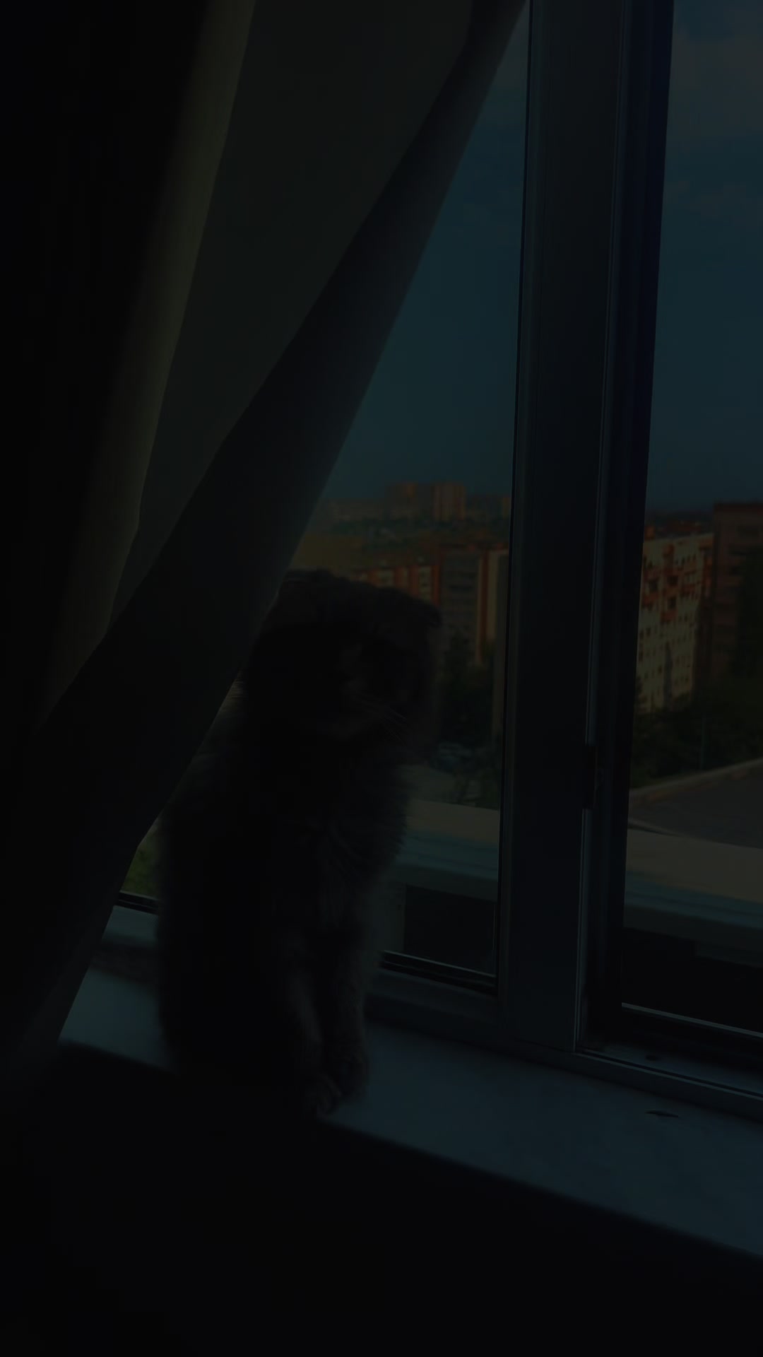 @Ruhumun_izi